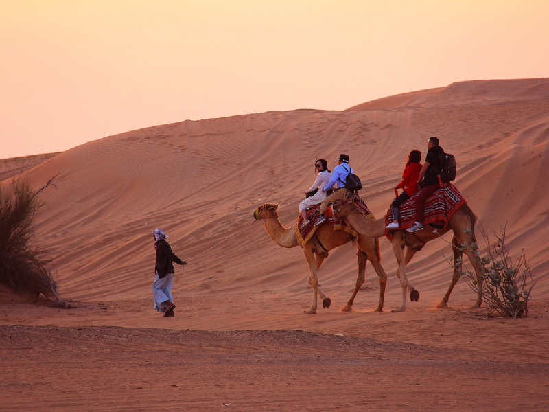Camel Safari Jaisalmer