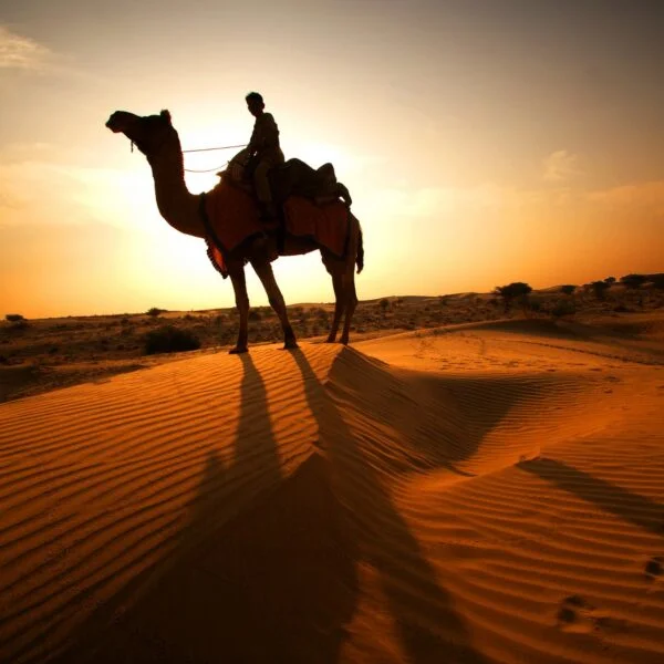 Stargazing In Thar Desert